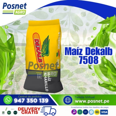 MAIZ DEKALB 7508 *