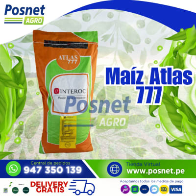 MAIZ ATLAS 777 *