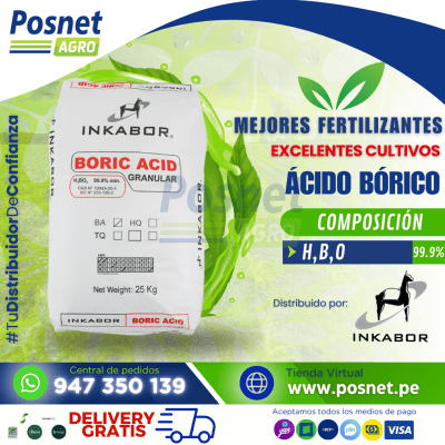 ACIDO BORICO