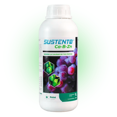 SUSTENTO CA-B-Zn