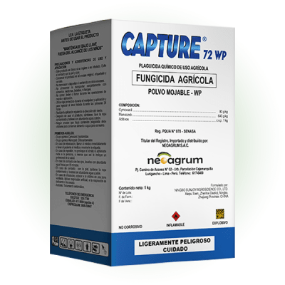 CAPTURE 72 WP1