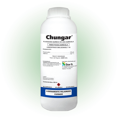 CHUNGAR 1