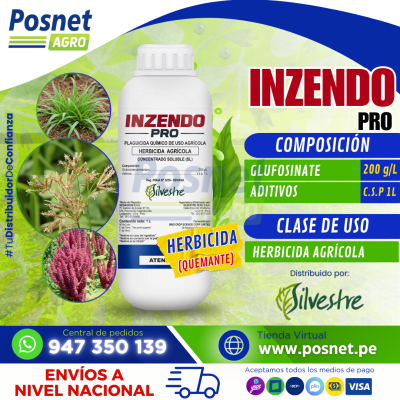 INZENDO PRO
