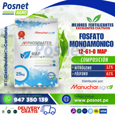 FOSFATO MONOAMONICO 12-61-0 MAP *