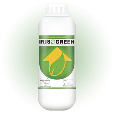 IRIS GREEN