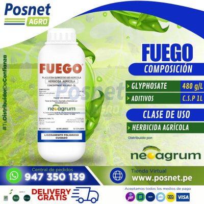 FUEGO2