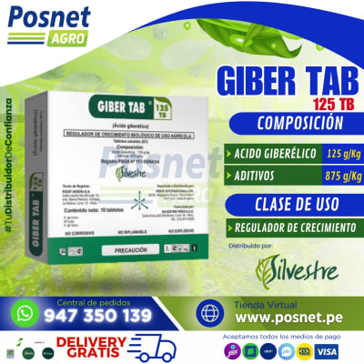 GIBER TAB 125TB
