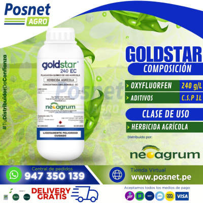GOLDSTAR 240 EC