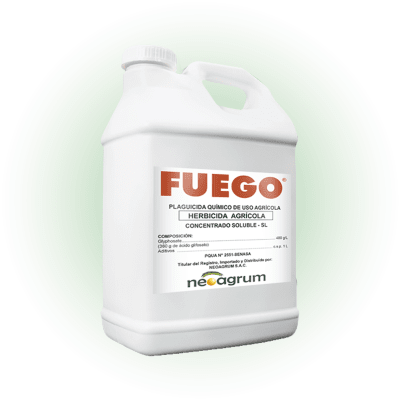 FUEGO