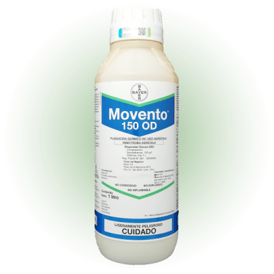 MOVENTO 150 OD1