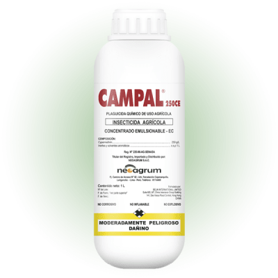 CAMPAL 250 CE