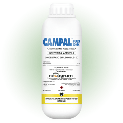 CAMPAL PLUS 100 EC1