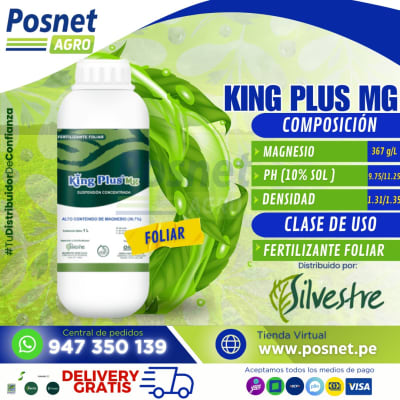 KING PLUS MG *1