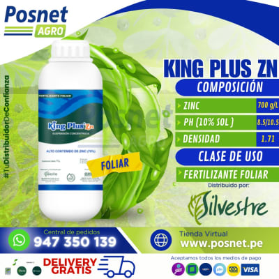 KING PLUS ZN *1