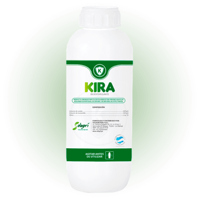 KIRA1