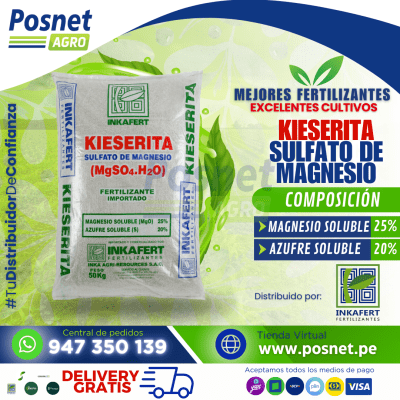 KIESERITA *