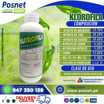 KLOROFILA *