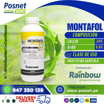 MONTAFOL CALCIO BORO