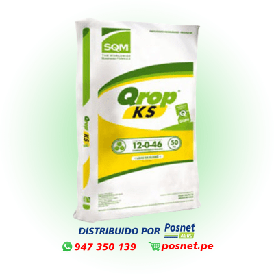 NITRATO DE POTASIO PERLADO *1