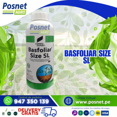 BASFOLIAR SIZE SL *