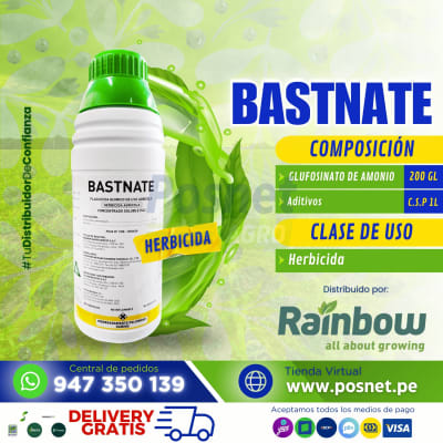 BASTNATE