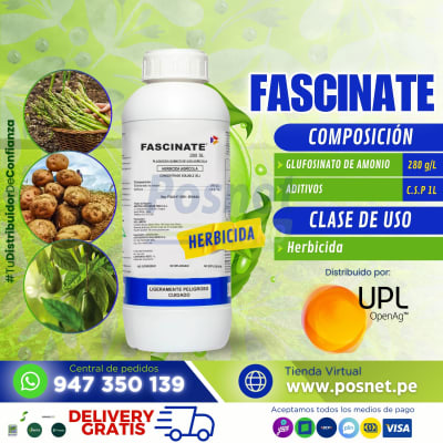 FASCINATE 280 SL