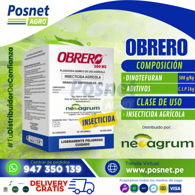 OBRERO 500 WG1