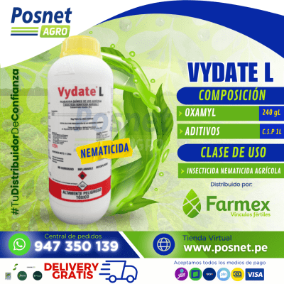VYDATE L1