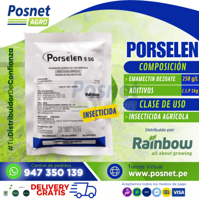 PORSELEN 5 SG