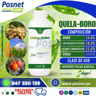 QUELA-BORO