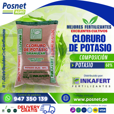 CLORURO DE POTASIO GRANULAR *