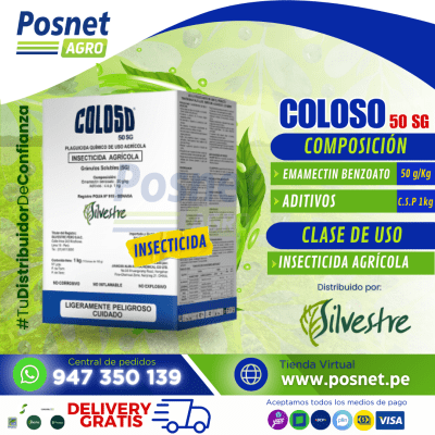 COLOSO 50 SG1