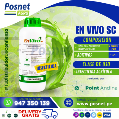 EN VIVO SC