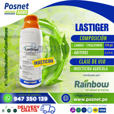 LASTINGER