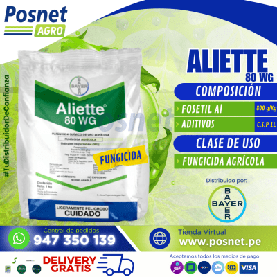 ALIETTE 80 WG1