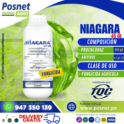 NIAGARA 45 CE