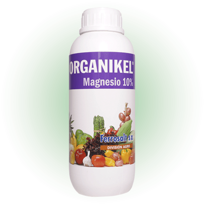 ORGANIKEL MAGNESIO 10%1