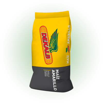 MAÍZ DEKALB 3991