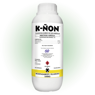 K-ÑON1