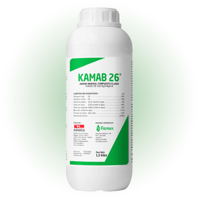 KAMAB 26 *