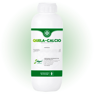QUELA-CALCIO1