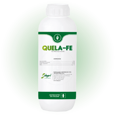 QUELA-FE1
