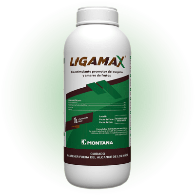 LIGAMAX1