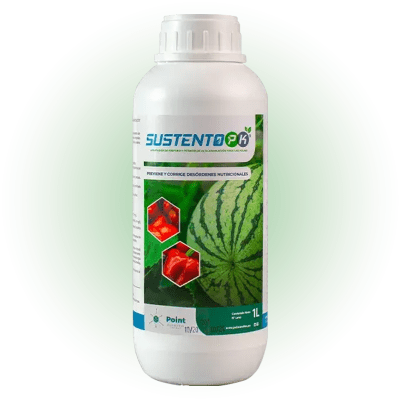 SUSTENTO PK1