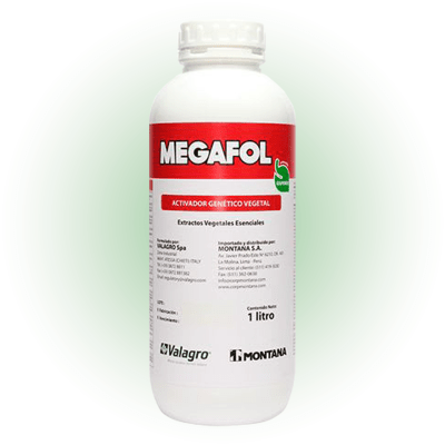MEGAFOL1