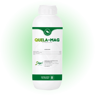 QUELA-MAG1