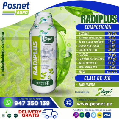 RADIPLUS