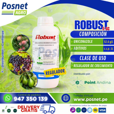 ROBUST 5 SC