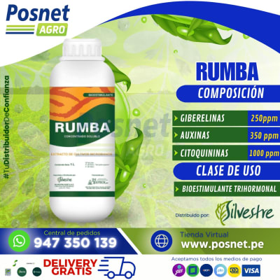 RUMBA