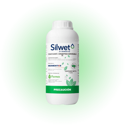 SILWET1